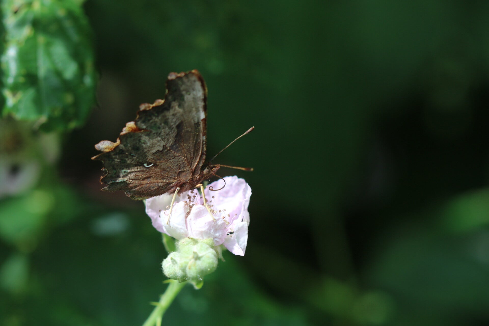 img_7653.jpg