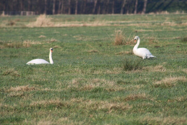 img_4987.jpg