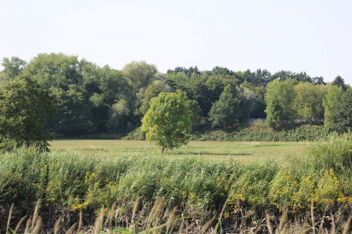 img_6154-2.jpg