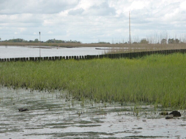 p1440356.jpg