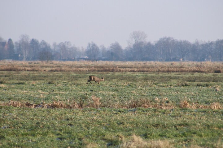 img_4955.jpg