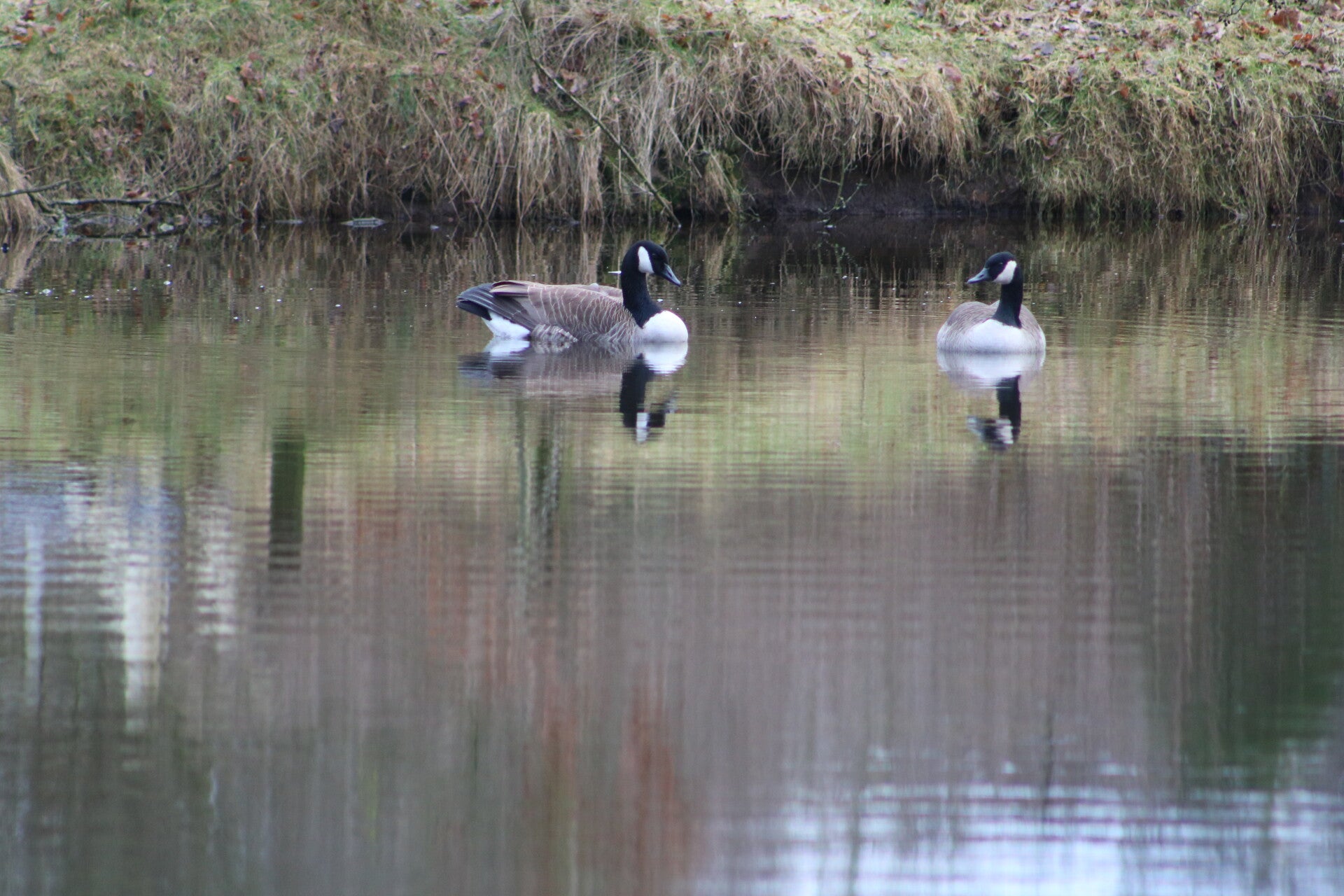 img_9593jpg.jpg