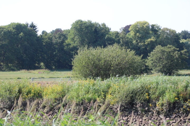 img_6155-2.jpg