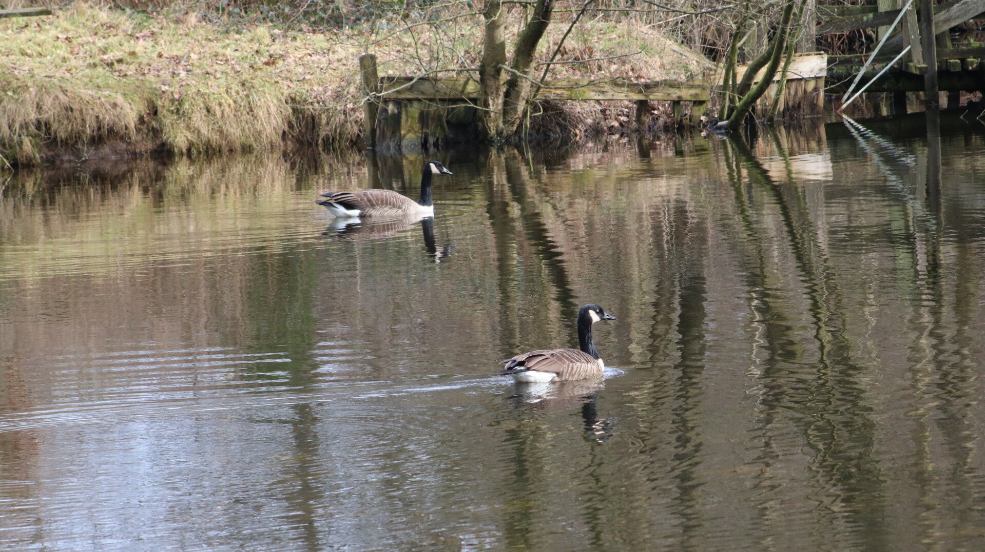 img_9746jpg.jpg