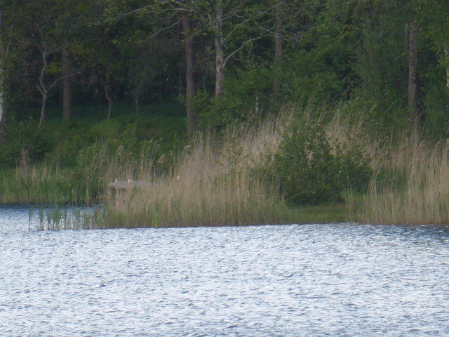 p1440442.jpg