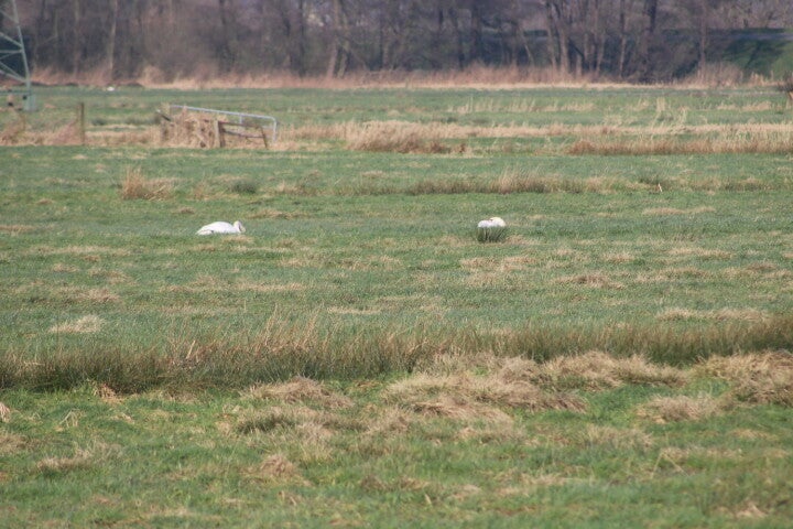 img_4967.jpg