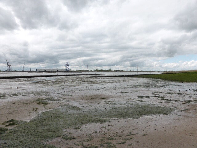 p1440348.jpg