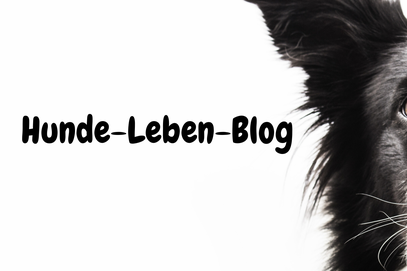 Hunde-leben-blog