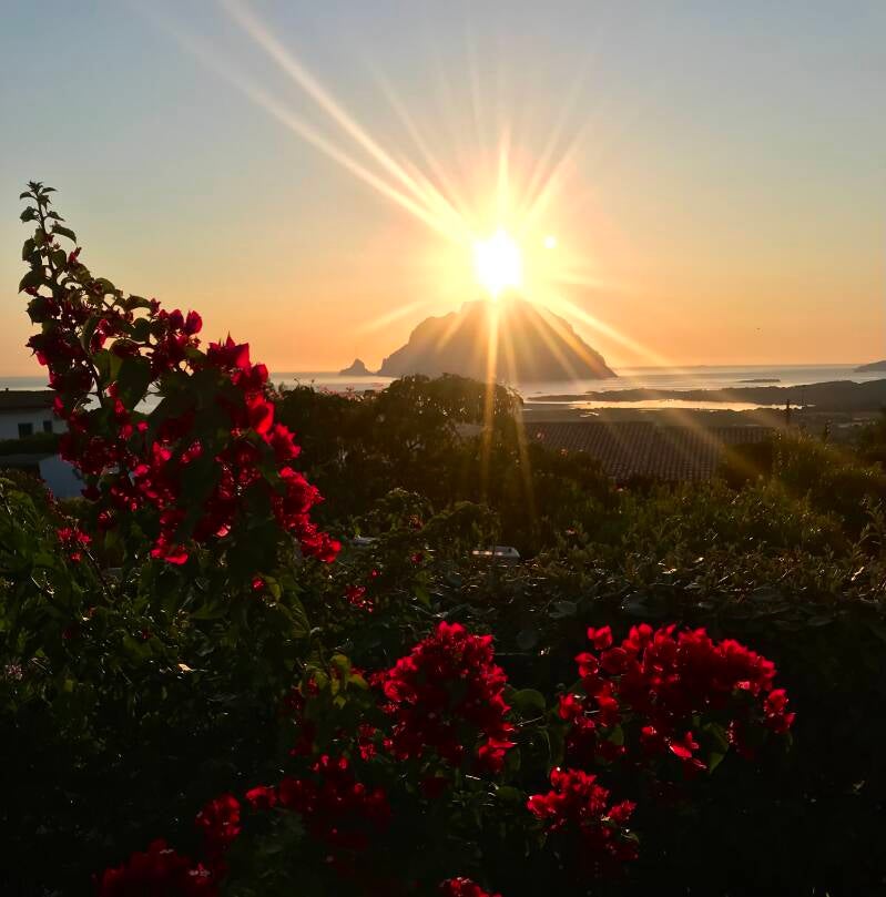 Een prachtige zonsopgang om de dag te beginnen
