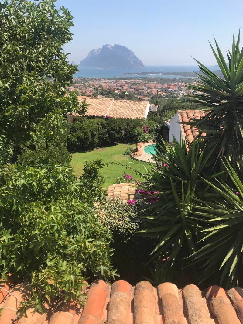 Uitzicht vanaf het dakterras