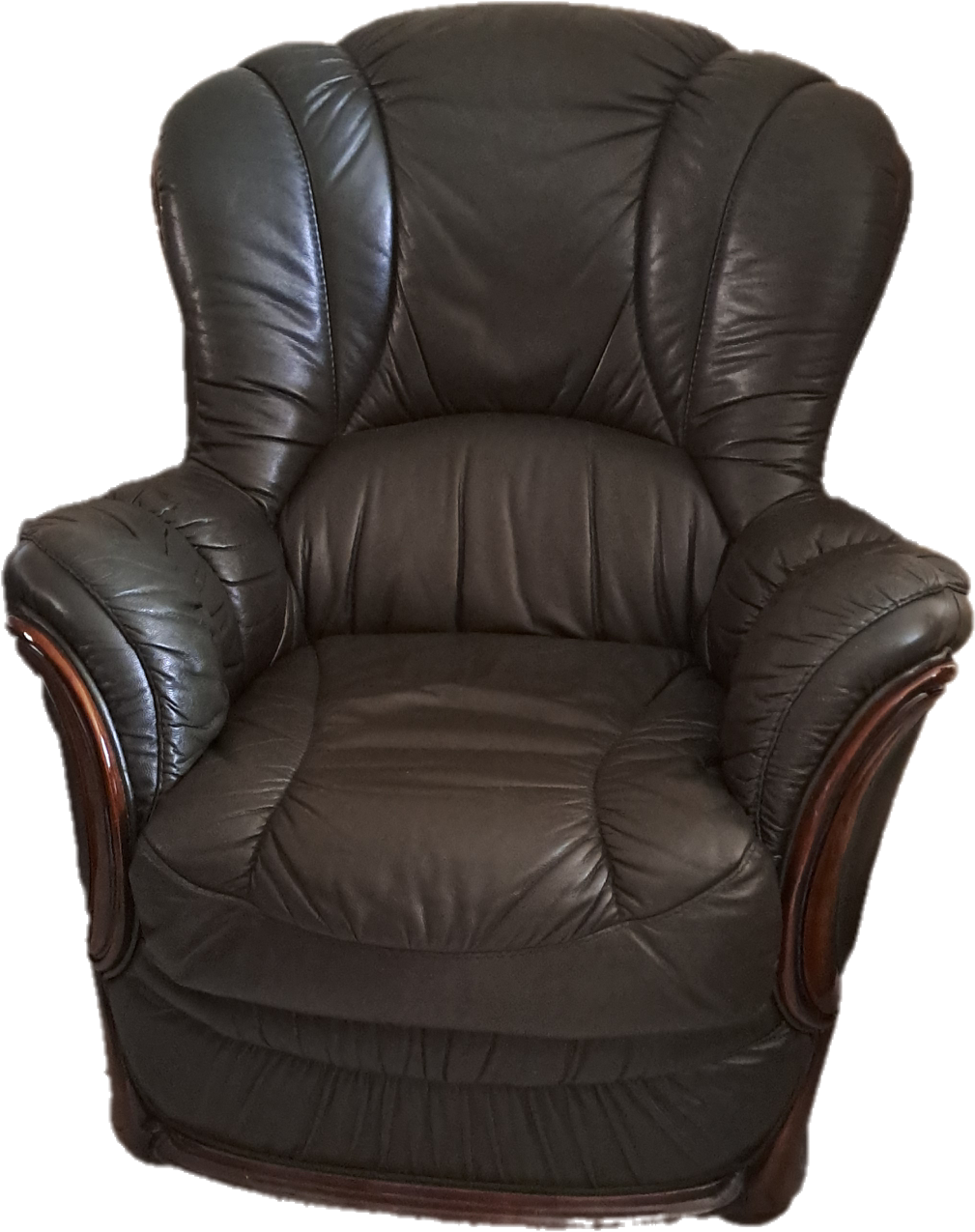 CAN002 - 2 fauteuils en cuir