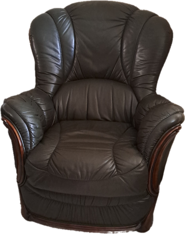 CAN002 - 2 fauteuils en cuir