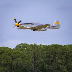 img_2151.jpg