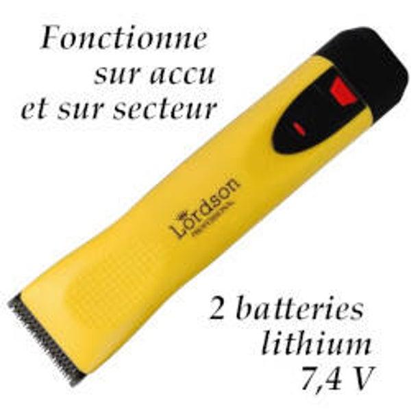 Tondeuse Lordson 2 accu +réseau