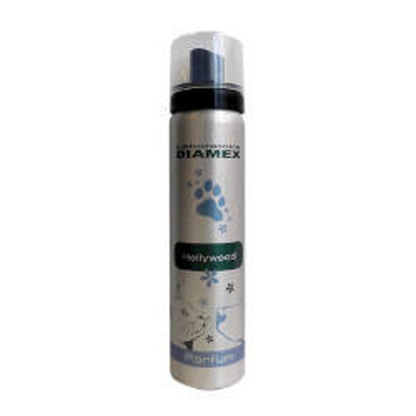 Parfum Hollywood 100 ml