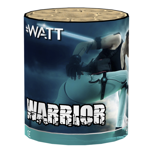 Warrior