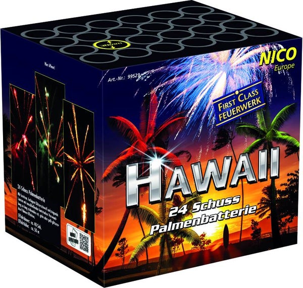 Nico Hawaii, 24 Schuss