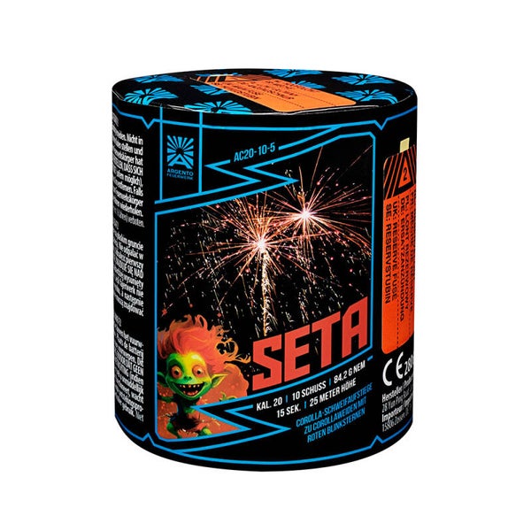 Seta ( Batch 2025 )