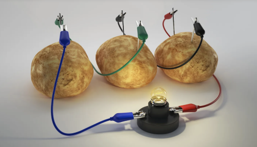 Potatos acting  as an electrolyte or salt bridge and functioning as galvanic (voltaic) cells. Illustrates biological, chemical and physical principles as seen in Science Tutoring sessions.
