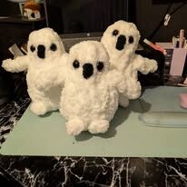 Snowy Owls