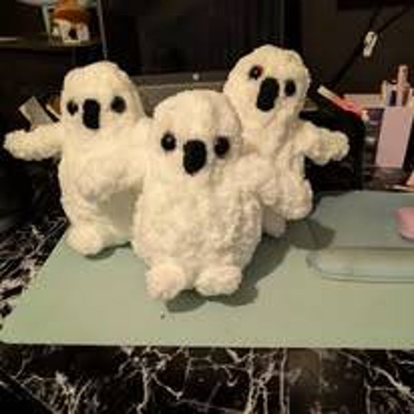 Snowy Owls