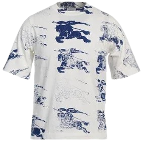 burrberry shirt