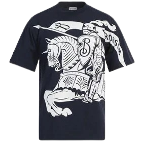 burrberry shirt