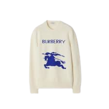 burrberry pullover