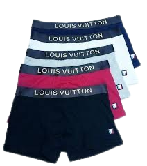 Louis Vuitton unterwäsche 5 pack