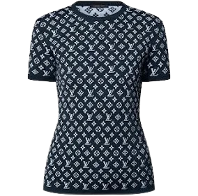 Louis Vuitton sweatshirt