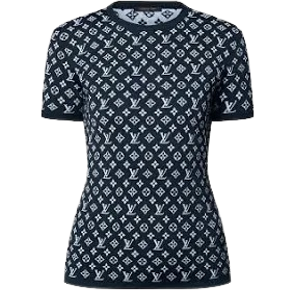 Louis Vuitton sweatshirt