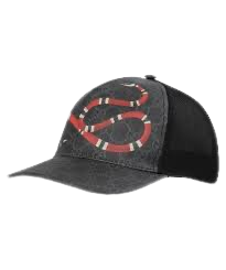Gucci Cap Schlange
