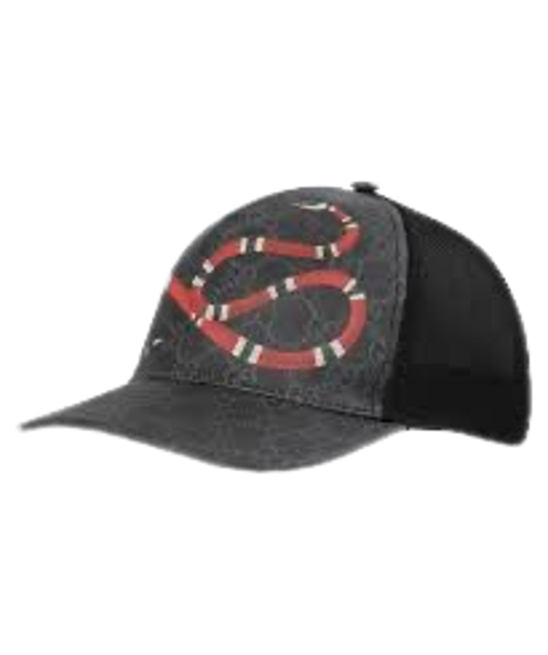 Gucci Cap Schlange