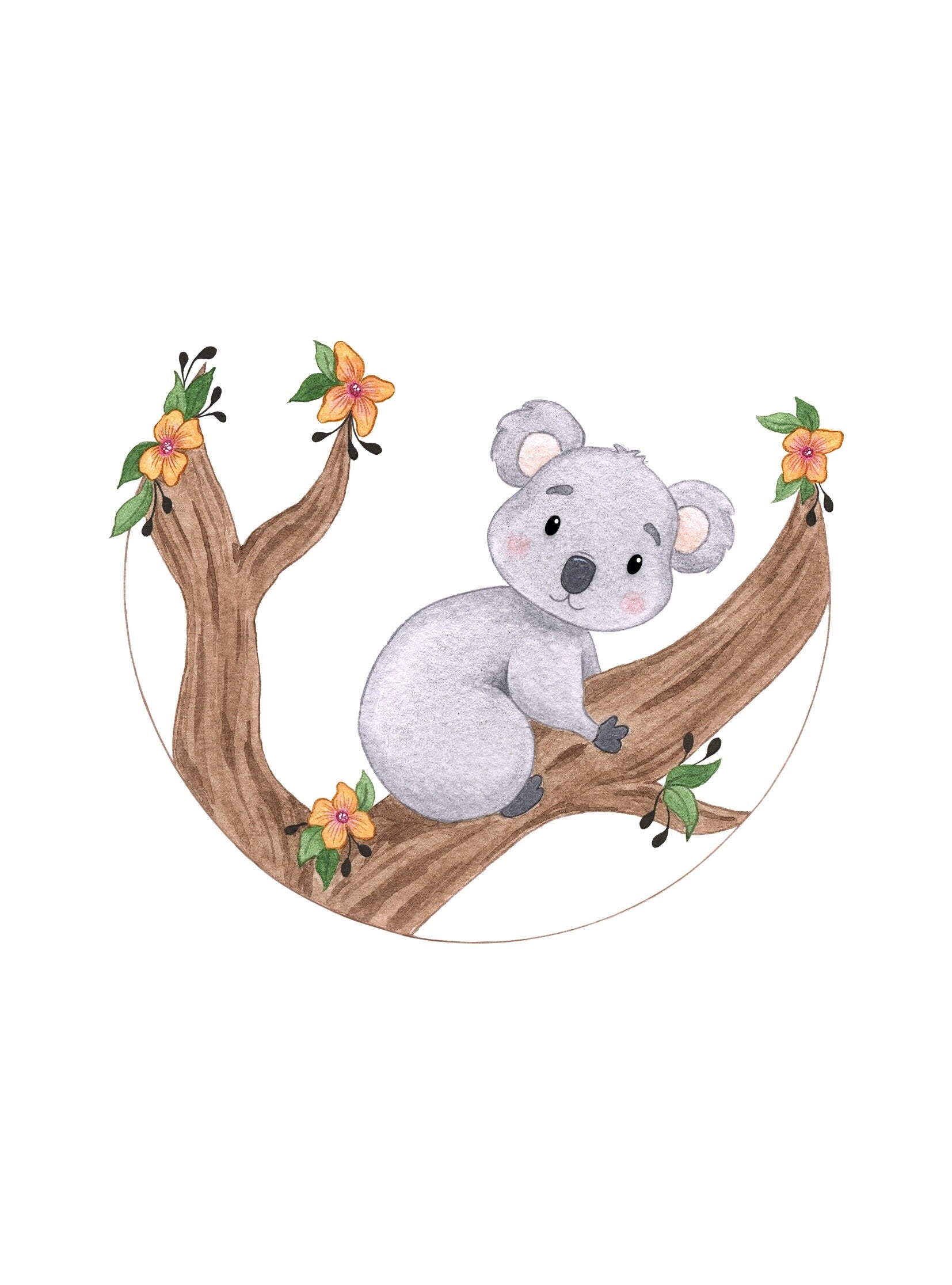 Koala