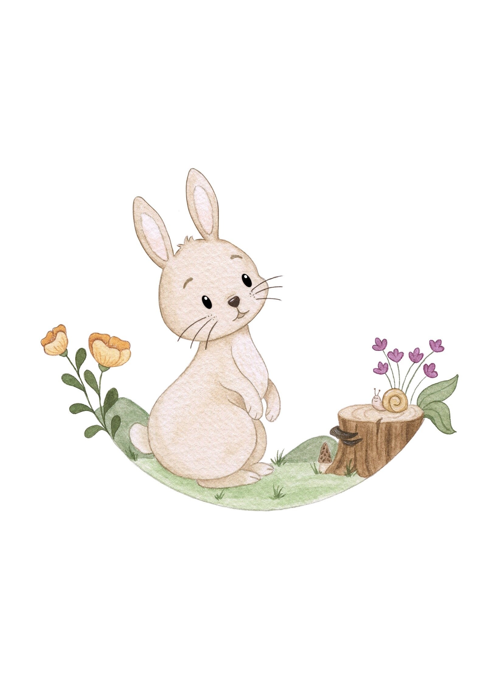 Lapin