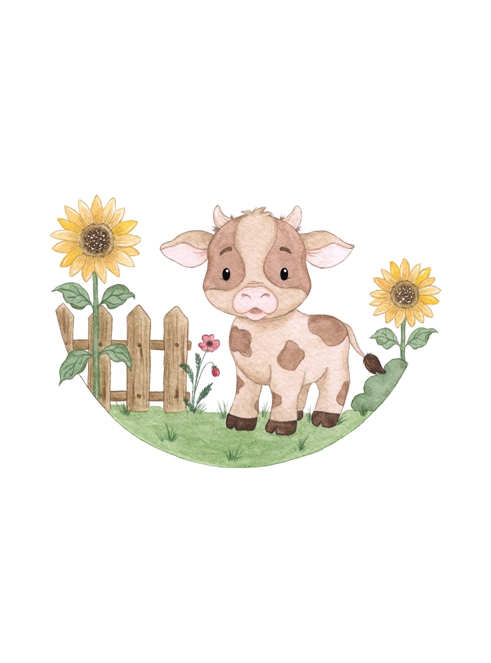 Vache