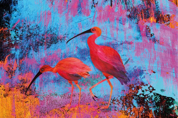 Landschap kleurrijk 4