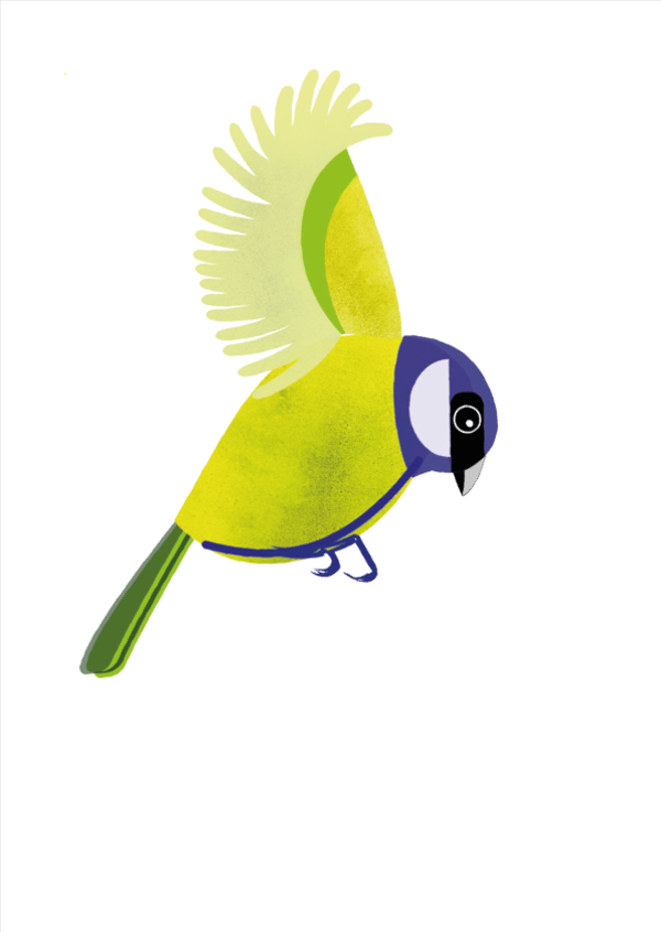Koolmees 2