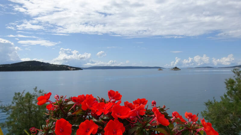 Op de voorgrond een bak geraniums en daarachter de zee en een blauwe lucht met wolken. 