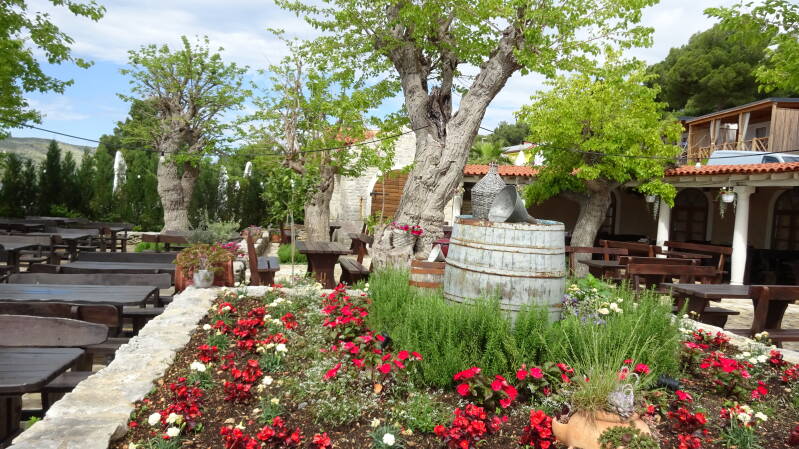 het fijne terras bij het restaurant, met olijfbomen, bloemen, picknickbanken en uitzicht op zee.