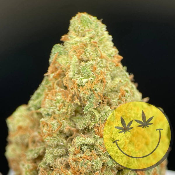 Amnesia Haze CBD Blüten 2 g