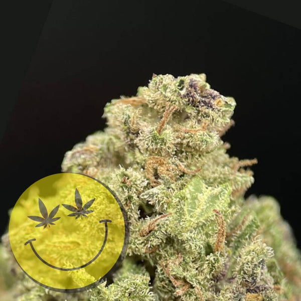 Forbidden Fruit CBD Blüten