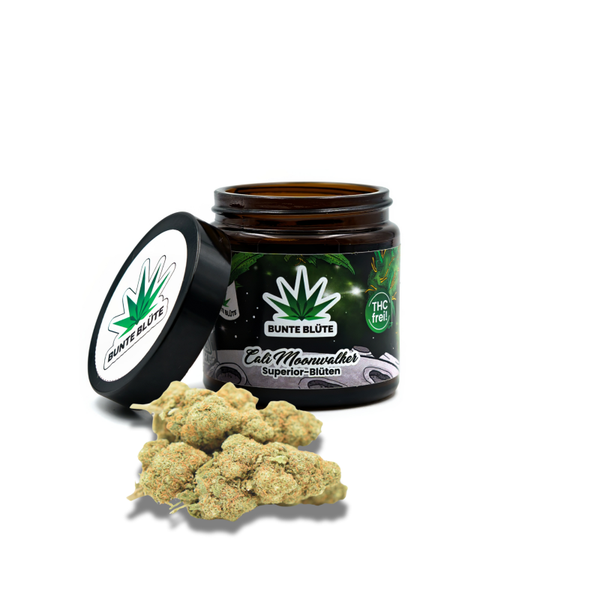 2g Cali Moonwalker Superior Blend