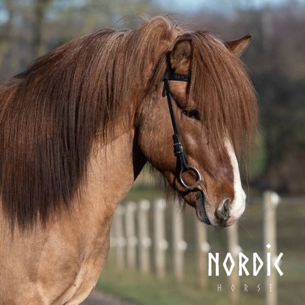 Nordic Horse Kopfstück All black