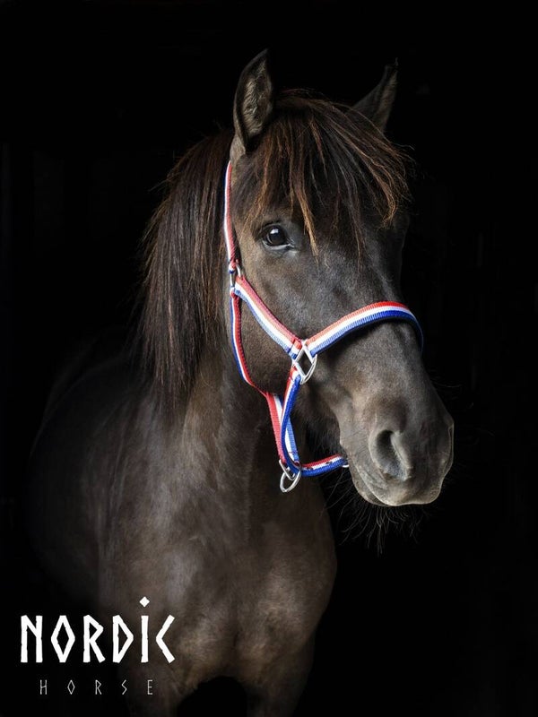 Nordic Horse Halfter Iceland