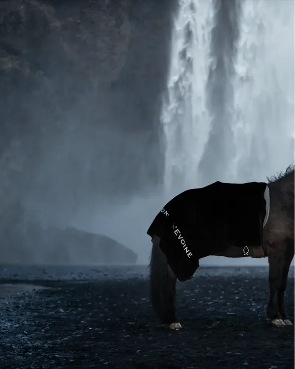 L' Evoine Abschwitzdecke Isländer noir