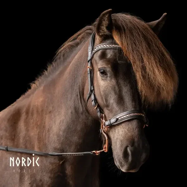 Nordic Horse Hackamore All Roségold