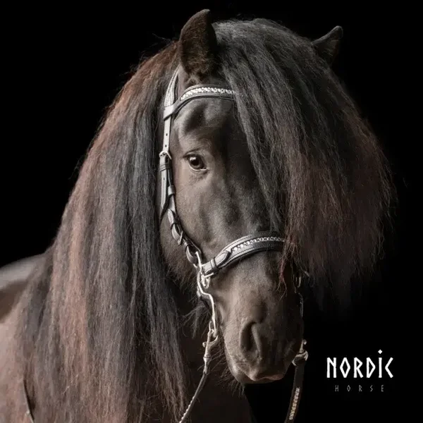 Nordic Horse Hackamore All White