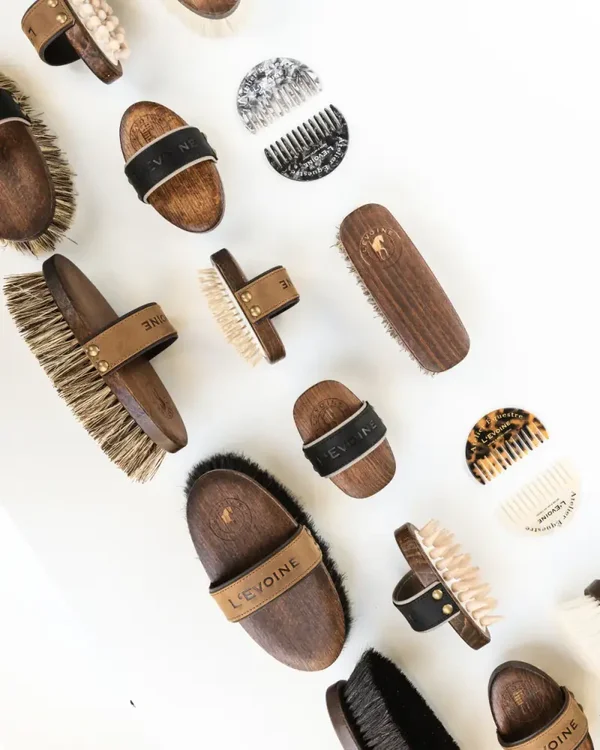 L' Evoine Pferdepflegeset 2.0