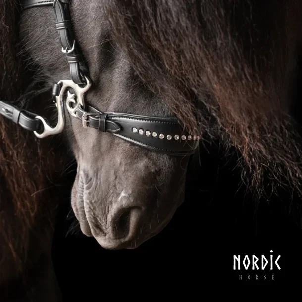 Nordic Horse Hackamore mit Stein
